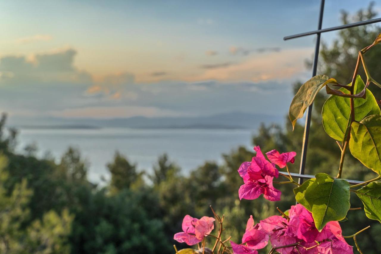 Holiday House Sunset Haven Estate Sutivan Extérieur photo